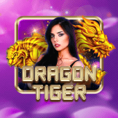 Dragon Tiger on 29jl live casino