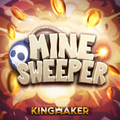 Minesweeper on 29jl