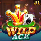 Wild Ace on 29jl
